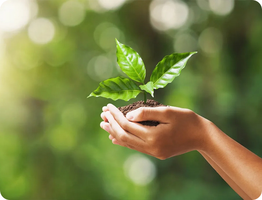 Jiangsu Dingshun Táirgí Leighis Co, Teo.